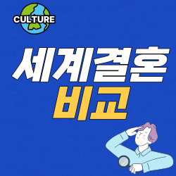 세계결혼비교